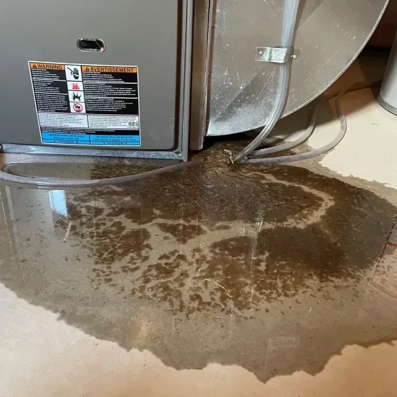 Appliance Leak Cleanup in Olney, MD